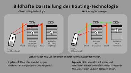 Proline Schaubild