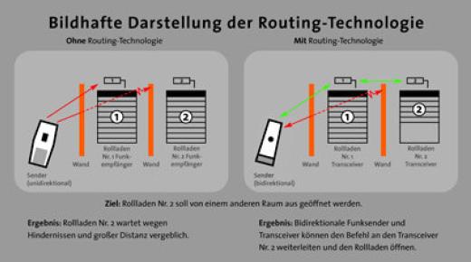 Proline Schaubild